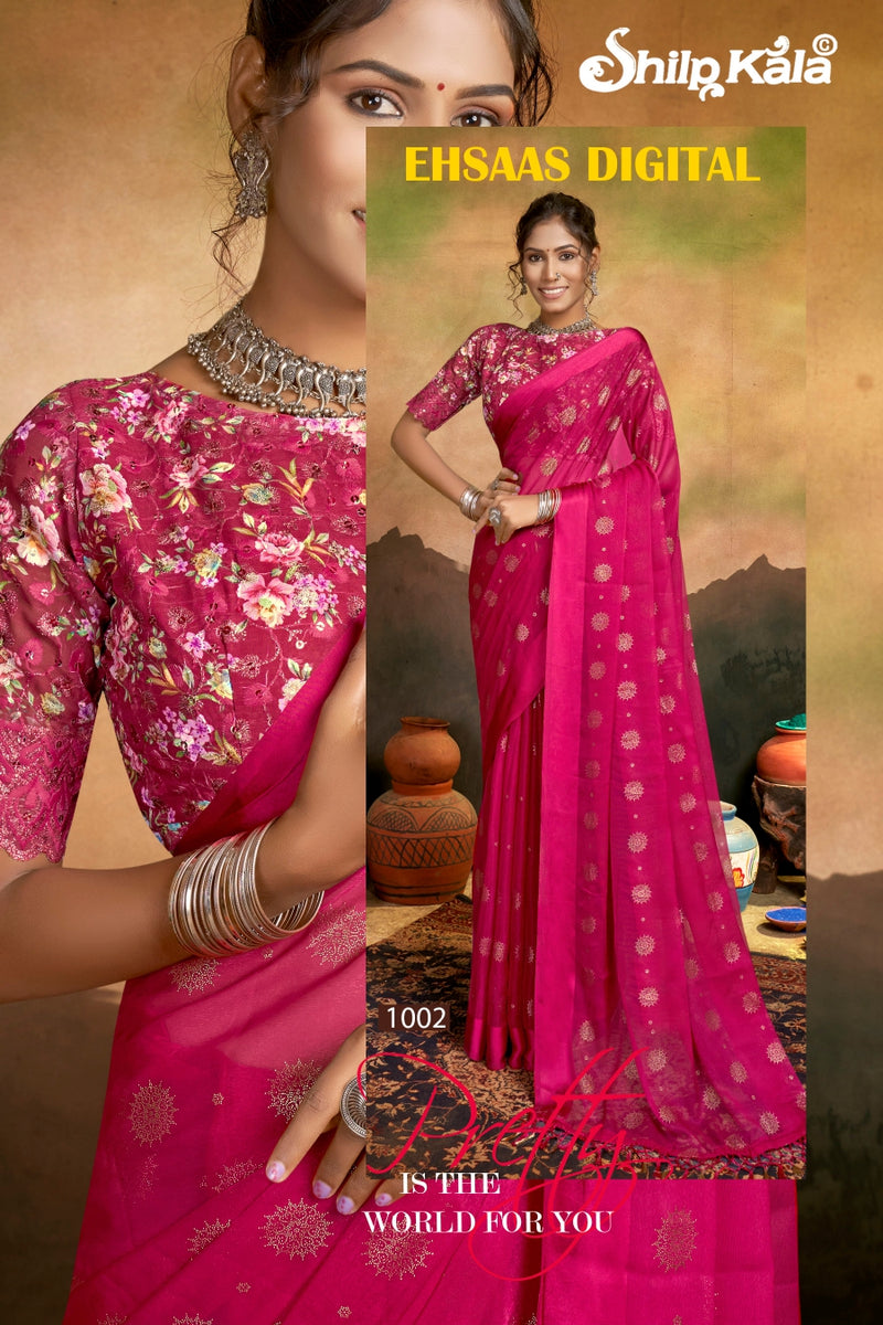 Ehsaas Multicolor Saree with Satin Patta and Tone to Tone Matching (8 Colours Available)