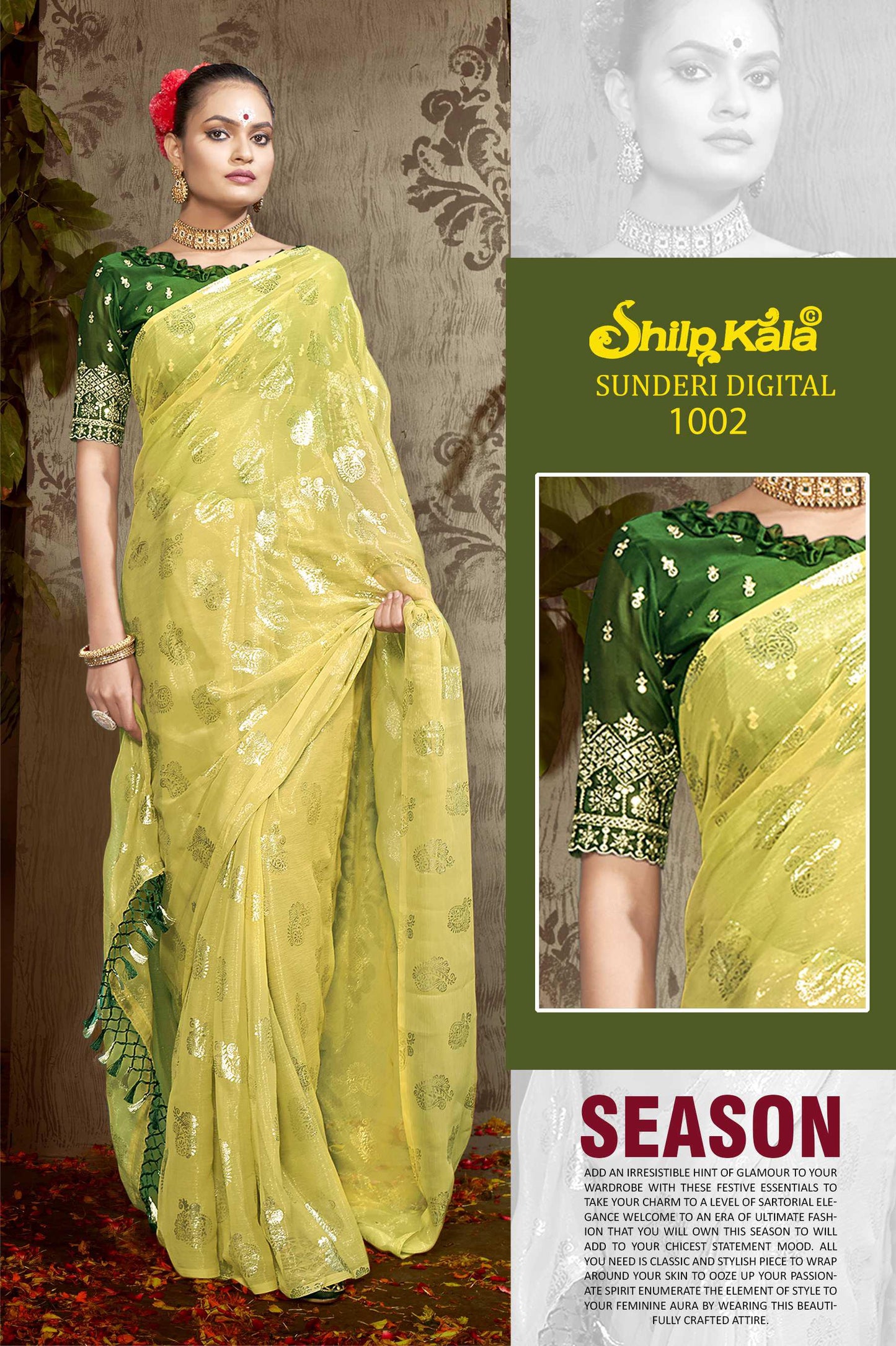 Sundari Multicolor Chiffon Saree with Fancy Work Blouse